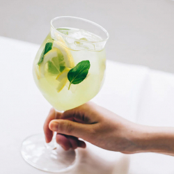 鬱金香高腳杯300ml(HFG-300-C)