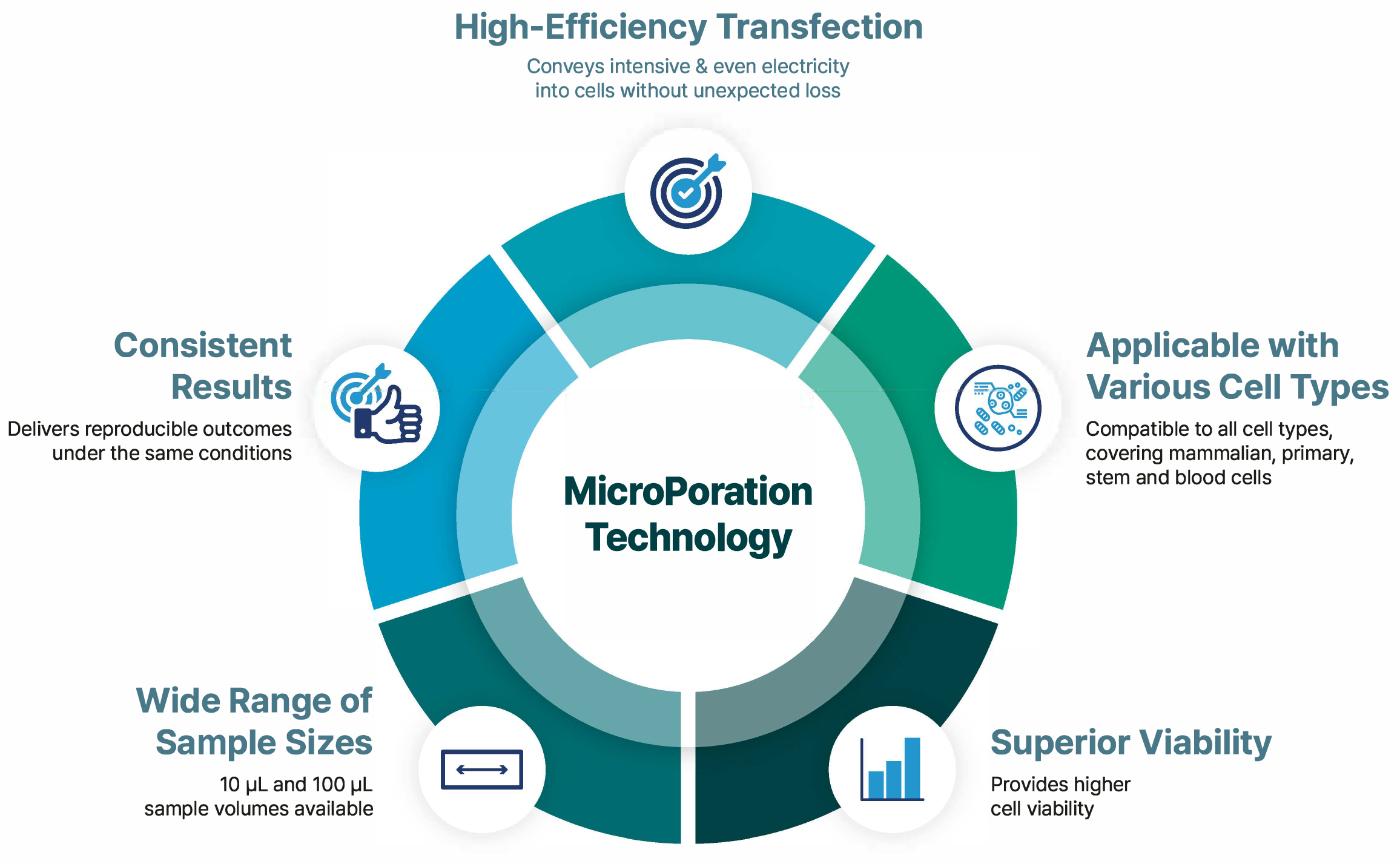 Advantages Illustration