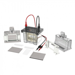 垂直電泳槽 雙板 DL-Mini01