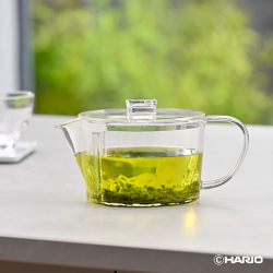 晶透濾沁茶壺 450ml 日本製 Tritan透明濾茶壺 泡茶壺 露營/居家必備 FIK-45-T